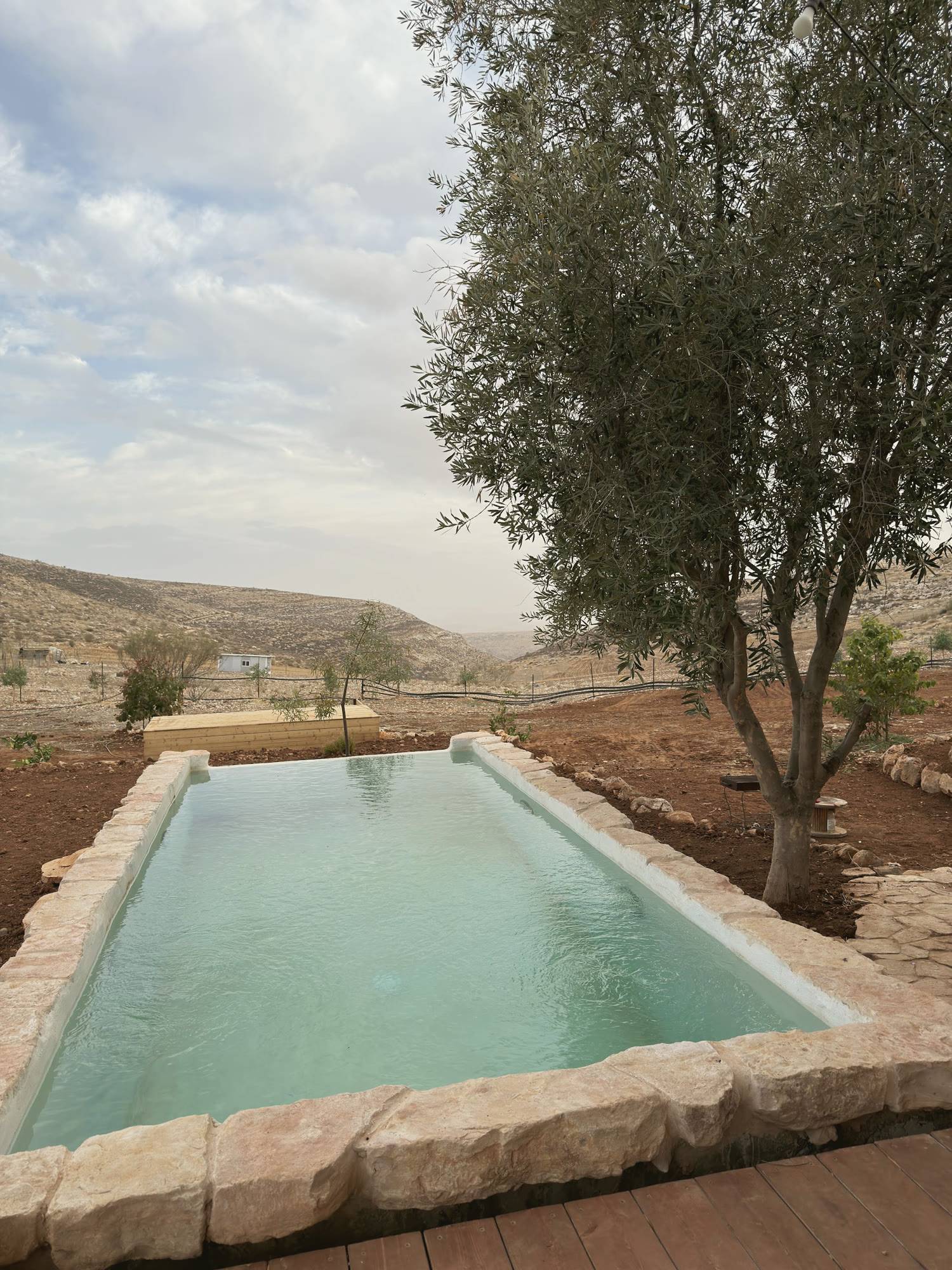 הבריכה ועץ הזית לידה, תחת שמיים מעוננים